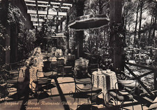 25-10E) CARTOLINA FREGENE ALBERGO RISTORANTE VILLA DEI PINI TERRAZZO VIAGGIATA