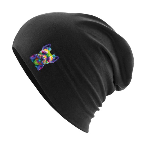 Beanie yorkshire terrier - beanie,