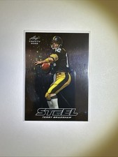 2023 Leaf Trinity - STEEL