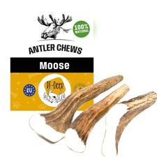 RF - Deer Corno di Alce per