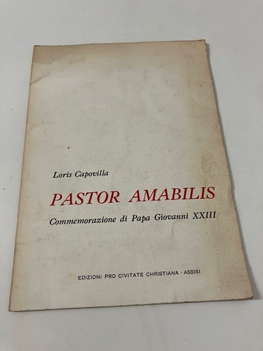 Pastor amabilis papa giovanni - pastor,