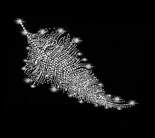 XL 30x15 STRASS ORNAMENTO