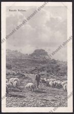 BIELLA COSTUMI e PASCOLI