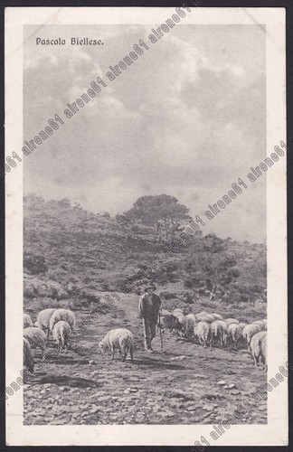 Biella costumi pascoli - biella, e