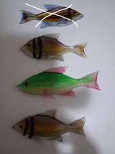 Tris pesci multicolore - di,