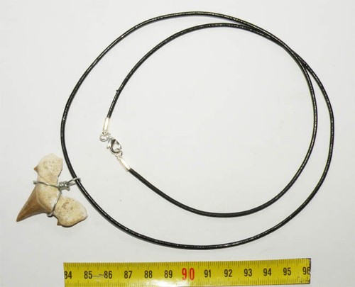 Collana pendente dente - collana, di