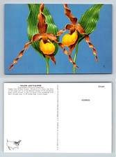 Cartolina gialla
