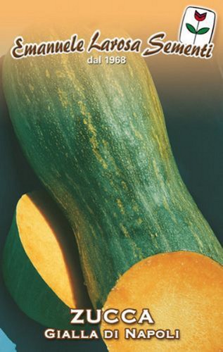 Semi zucca gialla napoli - semi,