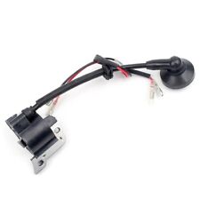 Bobina Elettronica Per Zenoah