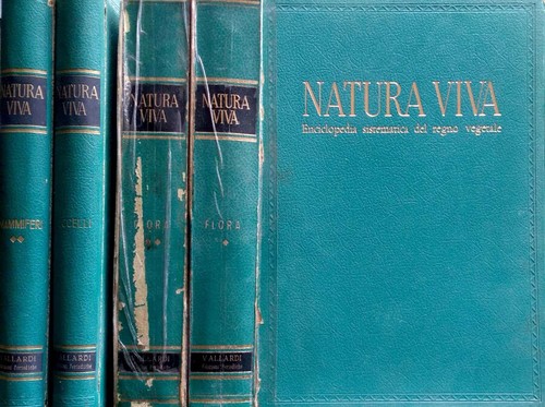 Enciclopedia sistematica del