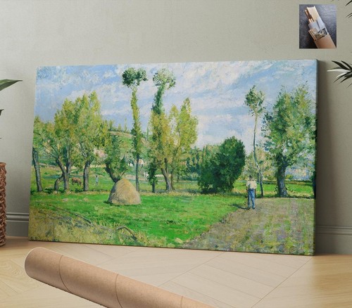 Francia alberi camille - alberi,