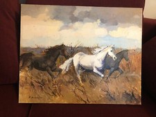 Edmondo Maneglia - Cavalli