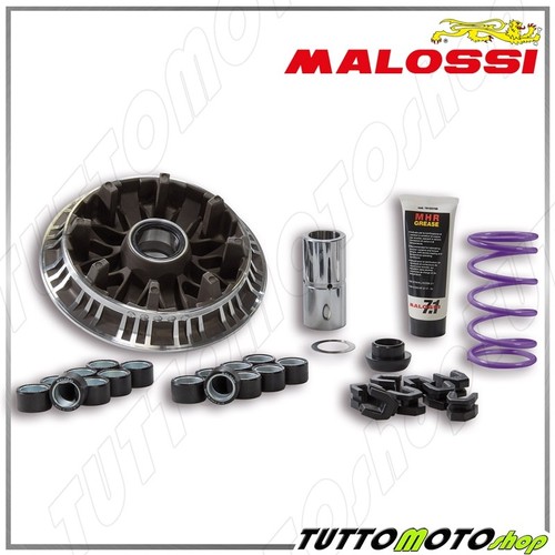 Malossi 5118058 variatore - malossi,