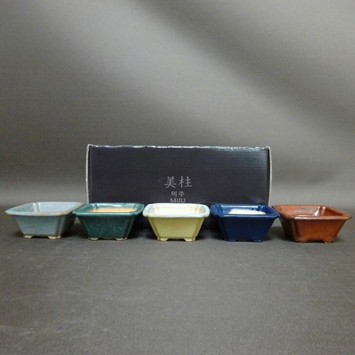 Miju mini vaso per bonsai - mini, set