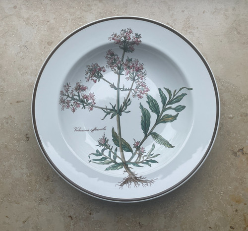 Villeroy boch botanica - boch,