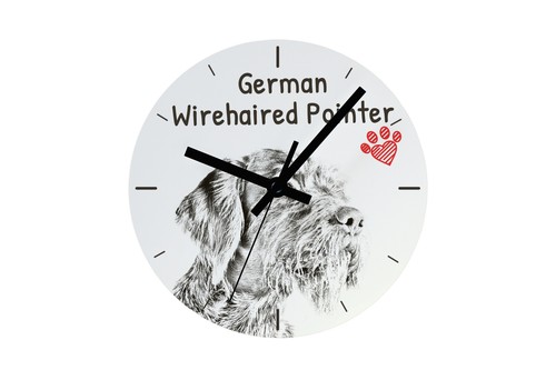 Deutsch drahthaar orologio - drahthaar,