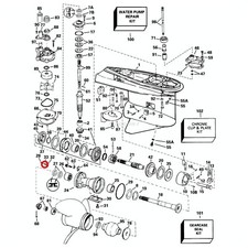 Rondella Molla Piede Evinrude Johnson BRP - 1 PZ  - 345998