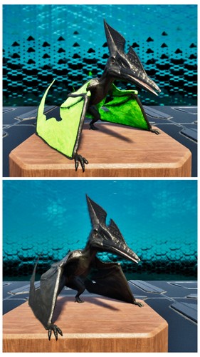 Ark pteranodon coppia - coppia, adulti