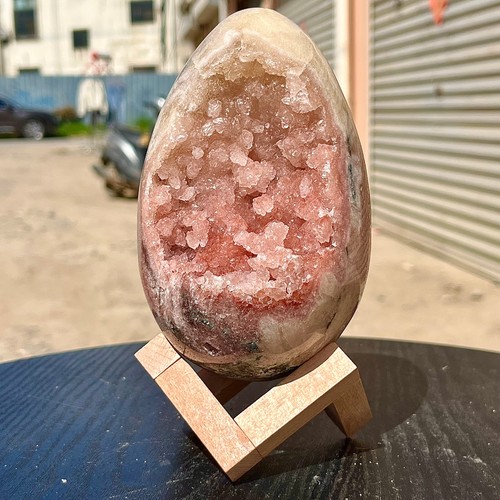 Raro bellissimo esemplare - raro,