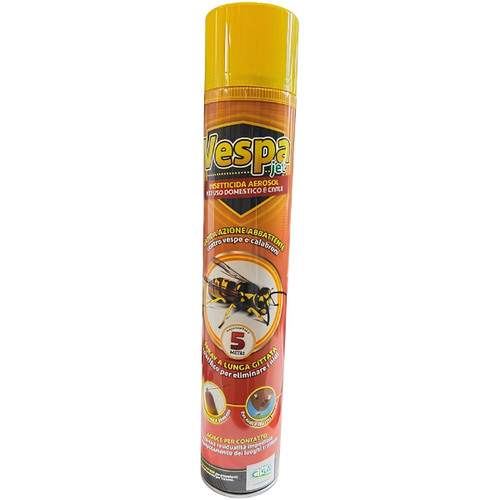 Insetticida spray vespe - insetticida,