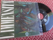 johnny dorelli l'immensità