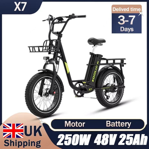Bicicletta elettrica