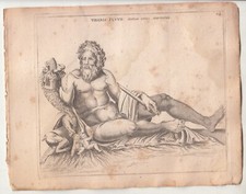 ANTIQUARIATO STAMPE. ANTICHE