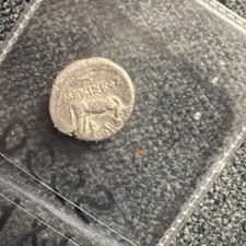 Antica Grecia Illiria, mucca e