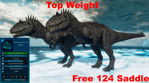 Ark survival ascesed - survival,