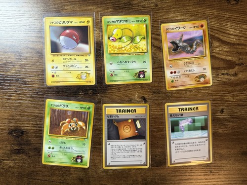 Pokemon eroi palestra - pokemon,
