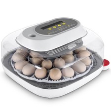 Incubatrice incubatrice