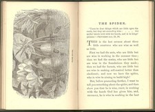 Little And Wise Lessons From