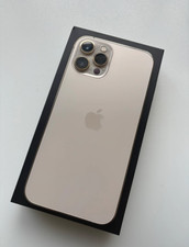 Apple iPhone 12 Pro Max A2411