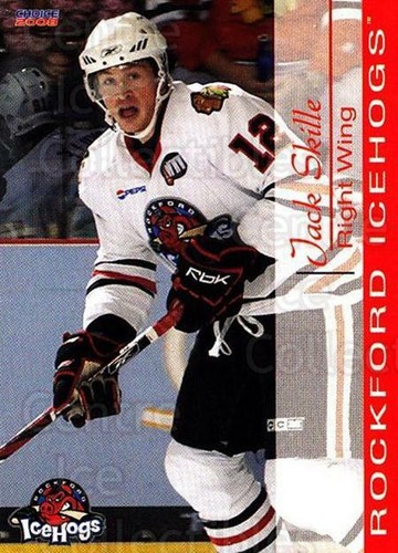 2007 rockford ice hogs - 2007-08, #22