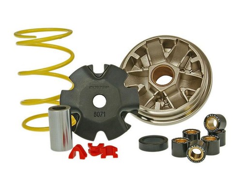 Variatore malossi multivar per - malossi,