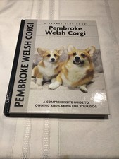 Pembroke Welsh Corgi E. Hywel