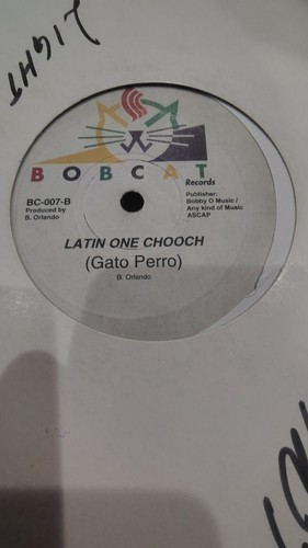 Latin one chooch gato - chooch, perro