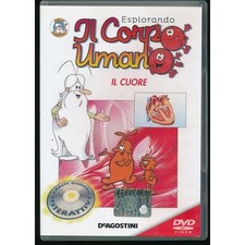 Ebond esplorando corpo - esplorando,