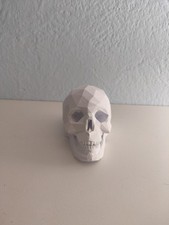 Opera Moderna Teschio