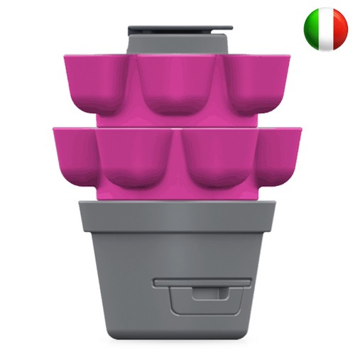 Wormgarden fucsia livelli - fucsia, 2