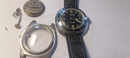 Anni raro diantus - anni, '60