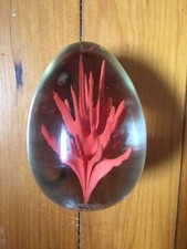 uovo venini fulvio bianconi