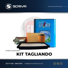 KIT TAGLIANDO 4 LT SELENIA GAS