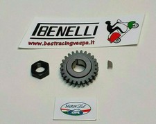 Pignone Z 23 per 24/72 Best Racing-Benelli,dado Vespa 50,special,125,et3,pk,ets