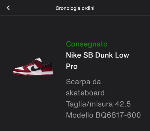 Nike dunk low pro pack - nike,