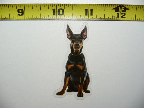 Doberman pinscher cane - doberman,