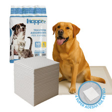 Traversine Tappetini Igienici Assorbenti︱Cani & gatti︱60x60 - 60x90︱MAXI PACK