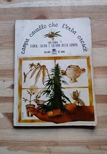 Storia cucina e coltura della