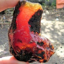 Ambra grezza del Mar Baltico 265 carati possibili inclusioni la più pregiata