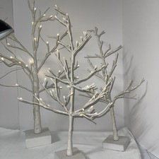 3 Alberi a Ramo Nudo Bianco